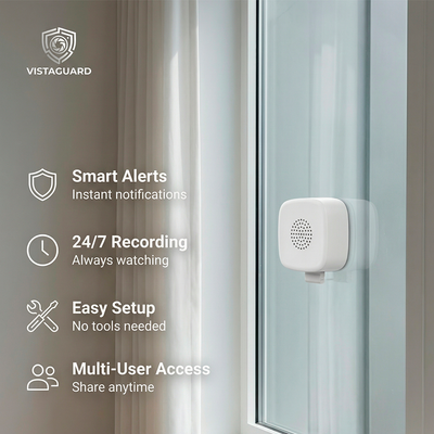 VistaGuard Window Camera 2-Pack