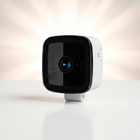 VistaGuard™ Smart 2K Window Camera