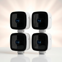 VistaGuard Window Camera 2-Pack