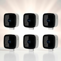 VistaGuard Window Camera 2-Pack